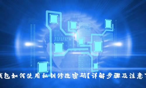 TP钱包如何使用私钥修改密码？详解步骤及注意事项