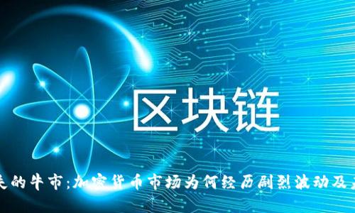探讨消失的牛市：加密货币市场为何经历剧烈波动及未来展望