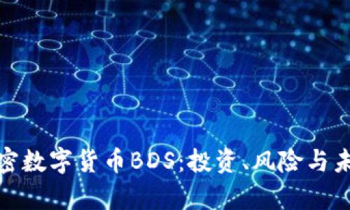 全面解析加密数字货币BDS：投资、风险与未来发展趋势