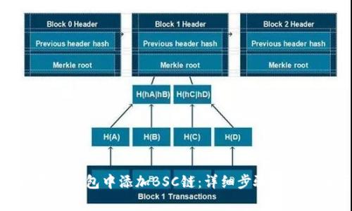 如何在TP钱包中添加BSC链：详细步骤与注意事项