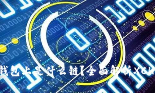 xch在TP钱包上是什么链？全面解析XCH及其应用
