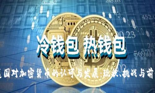 美国对加密货币的认可与发展：现状、挑战与前景