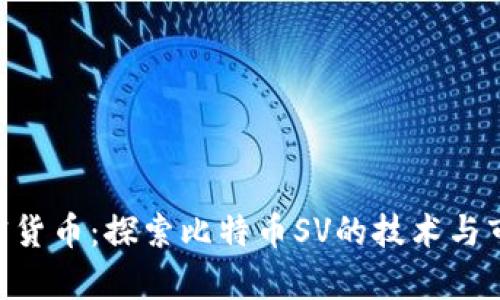 BSV加密货币：探索比特币SV的技术与市场前景