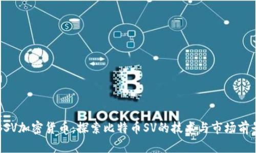 BSV加密货币：探索比特币SV的技术与市场前景