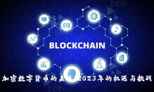 加密数字货币的未来：2023年的机遇与挑战