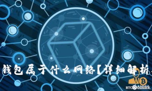 TP钱包里的BSC钱包属于什么网络？详细解析及常见问题解答