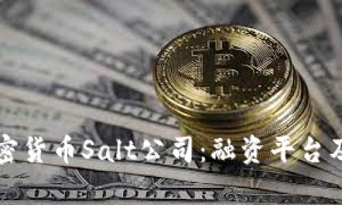深入解析加密货币Salt公司：融资平台及其市场前景