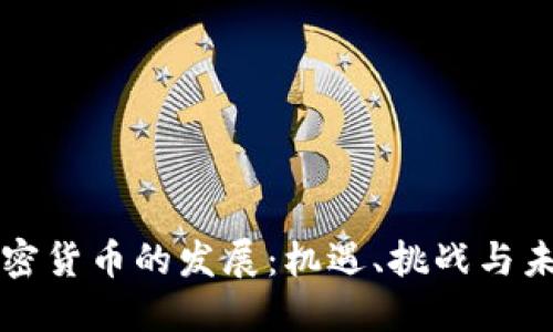 美元加密货币的发展：机遇、挑战与未来趋势
