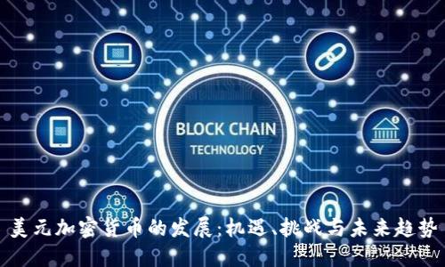 美元加密货币的发展：机遇、挑战与未来趋势