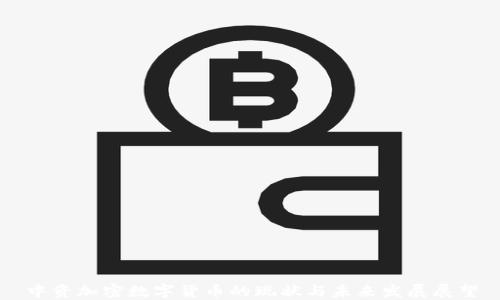 
中资加密数字货币的现状与未来发展展望