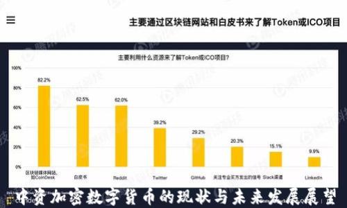 
中资加密数字货币的现状与未来发展展望