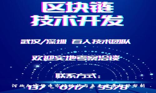 河北加密货币市场现状与未来发展趋势分析
