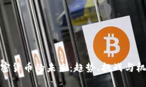 加密货币的未来：趋势、挑战与机遇