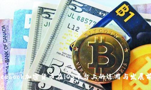 Facebook加密货币在iOS平台上的运用与发展前景