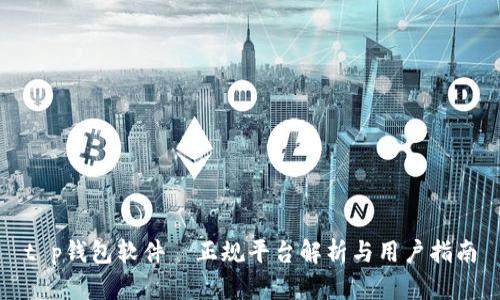 t p钱包软件—正规平台解析与用户指南