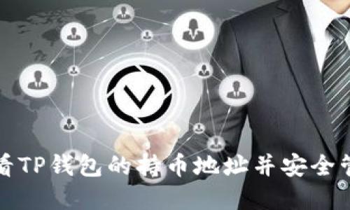 如何查看TP钱包的持币地址并安全管理资产