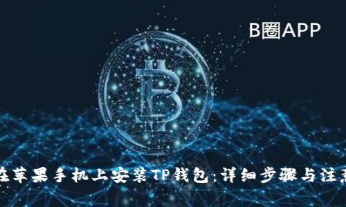 如何在苹果手机上安装TP钱包：详细步骤与注意事项