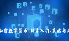 如何炒加密数字货币：新手入门、策略与风险分