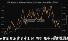如何使用加密货币支付 VPS 服务：全方位指南