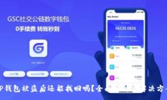 :TP钱包被盗后还能找回吗？全面解析与解决方案