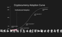 TP钱包密码或私钥忘记了怎么办？详细解决方案与