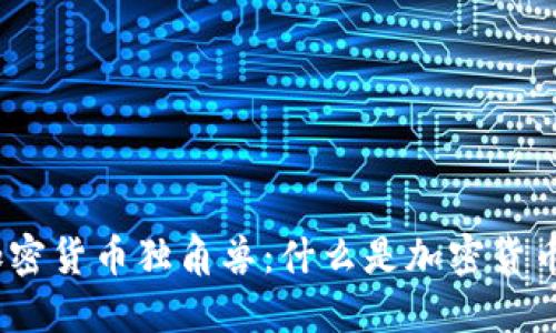 : 探索加密货币独角兽：什么是加密货币独角兽？