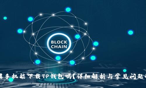 苹果手机能下载TP钱包吗？详细解析与常见问题解答