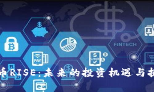 加密货币RISE：未来的投资机遇与挑战解析