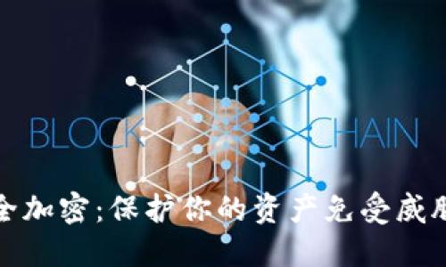 数字货币安全加密：保护你的资产免受威胁的全面指南
