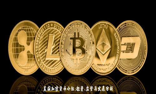   
美国加密货币小组：投资、监管与发展分析