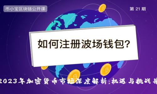 : 2023年加密货币市场深度解析：机遇与挑战并存