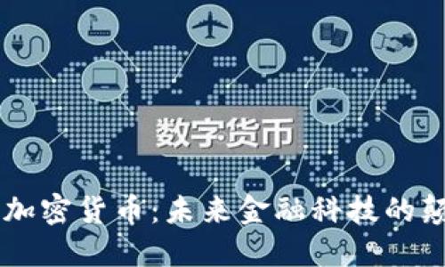 Wise加密货币：未来金融科技的颠覆者