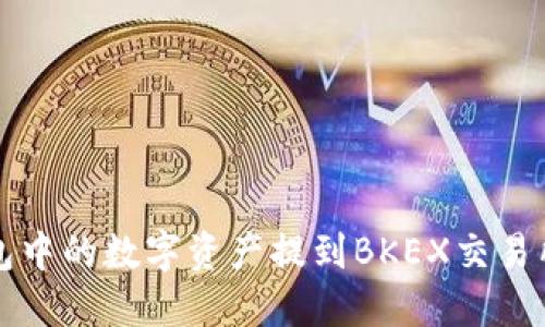 如何将TP钱包中的数字资产提到BKEX交易所的详细指南